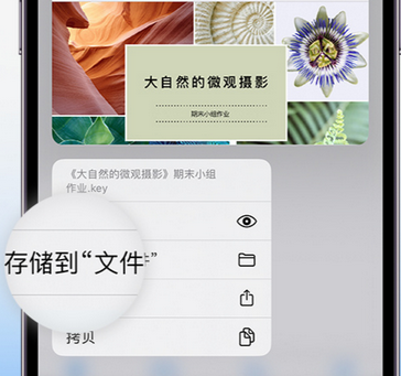 乐山apple维修中心分享iPhone文件应用中存储和找到下载文件