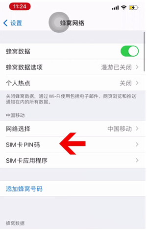 乐山苹果14维修网分享如何给iPhone14的SIM卡设置密码 