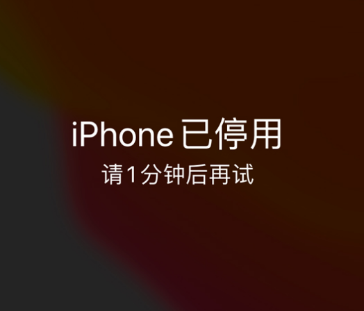 乐山苹果手机维修分享:iPhone 显示“不可用”或“已停用”怎么办？还能保留数据吗？ 