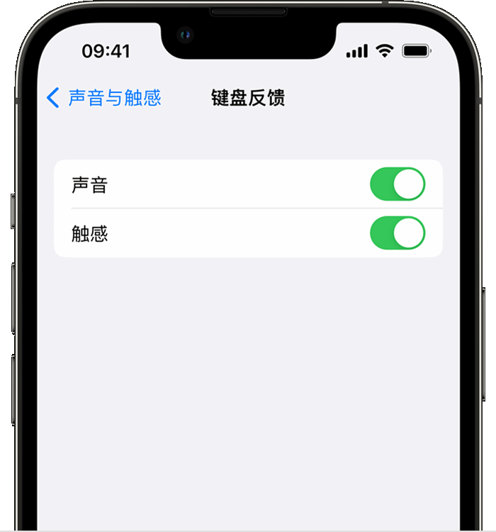 乐山苹果14维修店分享如何在 iPhone 14 机型中使用触感键盘 