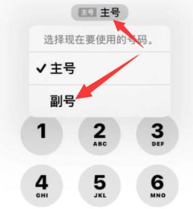 乐山苹果14维修店分享iPhone 14 Pro Max使用副卡打电话的方法 