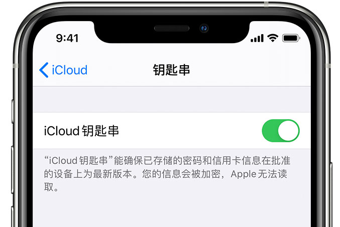 乐山苹果手机维修分享在 iPhone 上开启 iCloud 钥匙串之后会储存哪些信息 