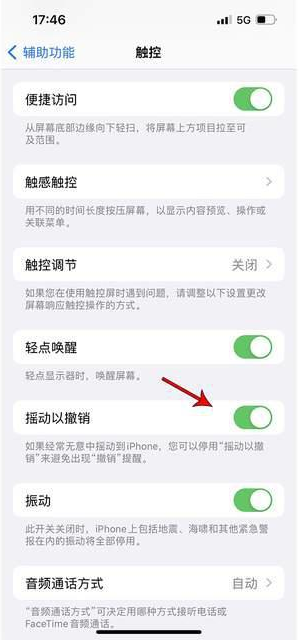 乐山苹果手机维修分享iPhone手机如何设置摇一摇删除文字 