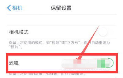 乐山苹果13维修分享iPhone13拍照有绿点是怎么回事 