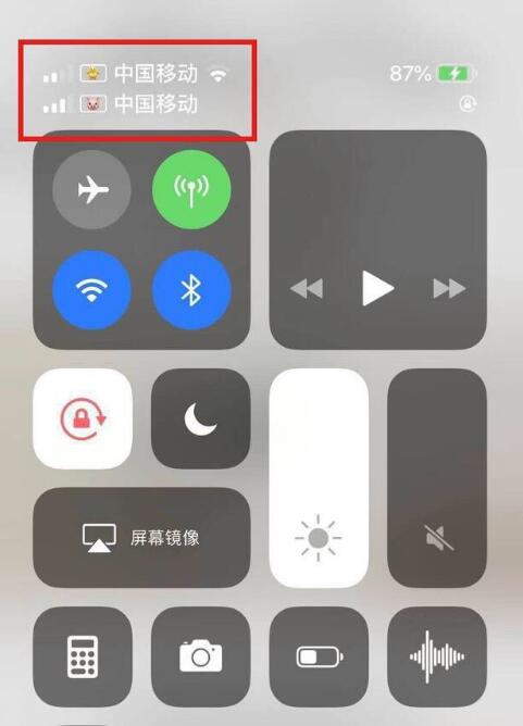 乐山苹果手机维修分享为 iPhone 12 双卡设置标签 